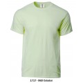T-Shirt | Round Neck | GILDAN | 1717 Series (Adult)